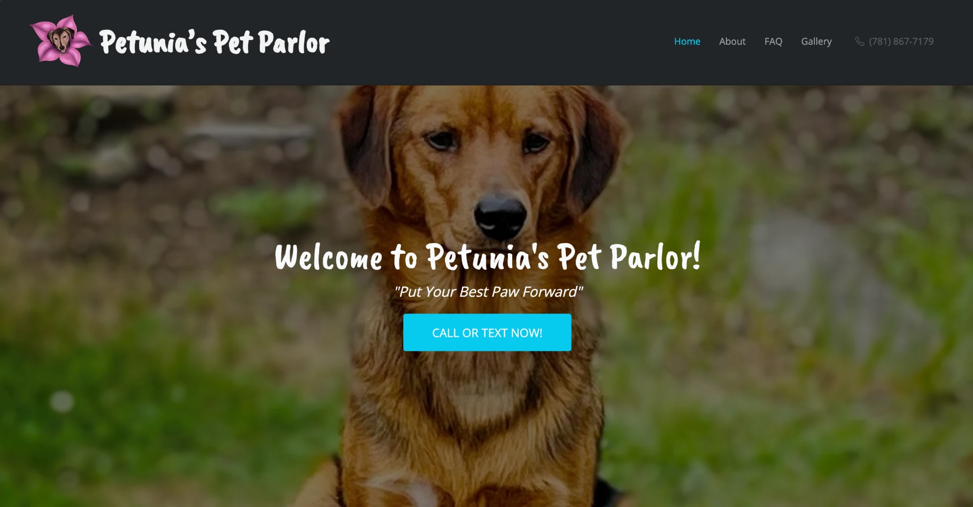 The Petunia's Pet Parlor home page: a photo of a dog behind the words "Welcome to Petunia's Pet Parlor! Put Your Best Paw Forward" and a Call or Text Now button.